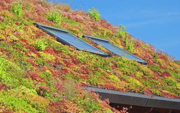 Aberdalgie living roof systems