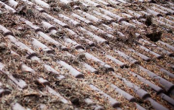 Aberdalgie roof cleaning companies