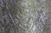 Aberdalgie fibreglass roof work